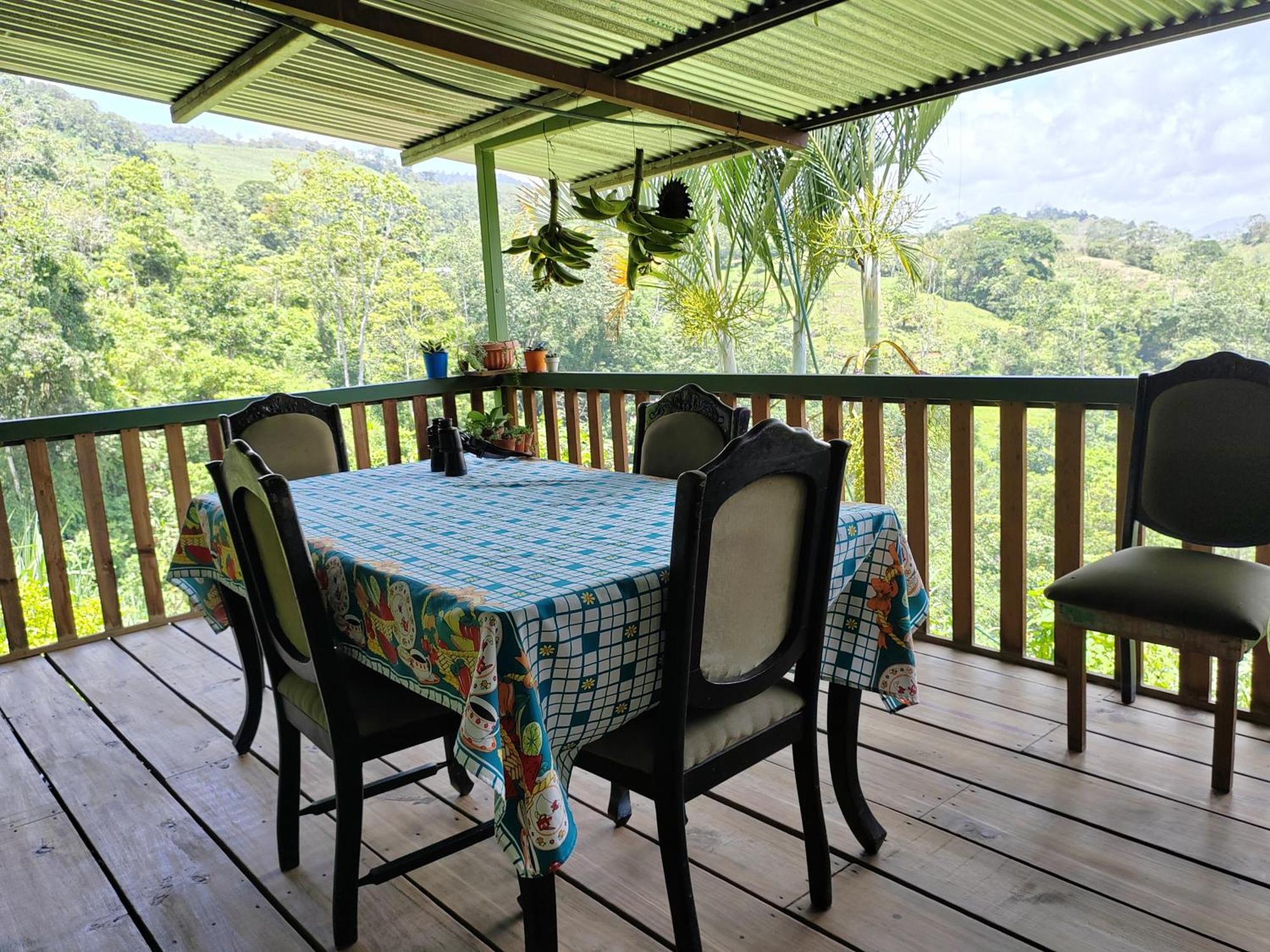 Bella Vista Guest House Turrialba Luaran gambar